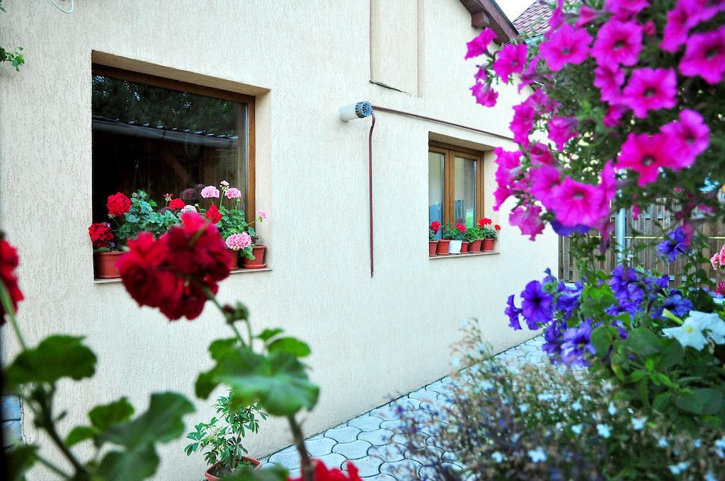 Hotel Casa Maria Hura-Humora Exteriér fotografie